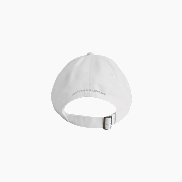 pineapple dad hat back